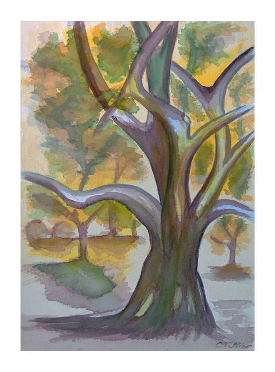Christian TILLIER Aquarelles